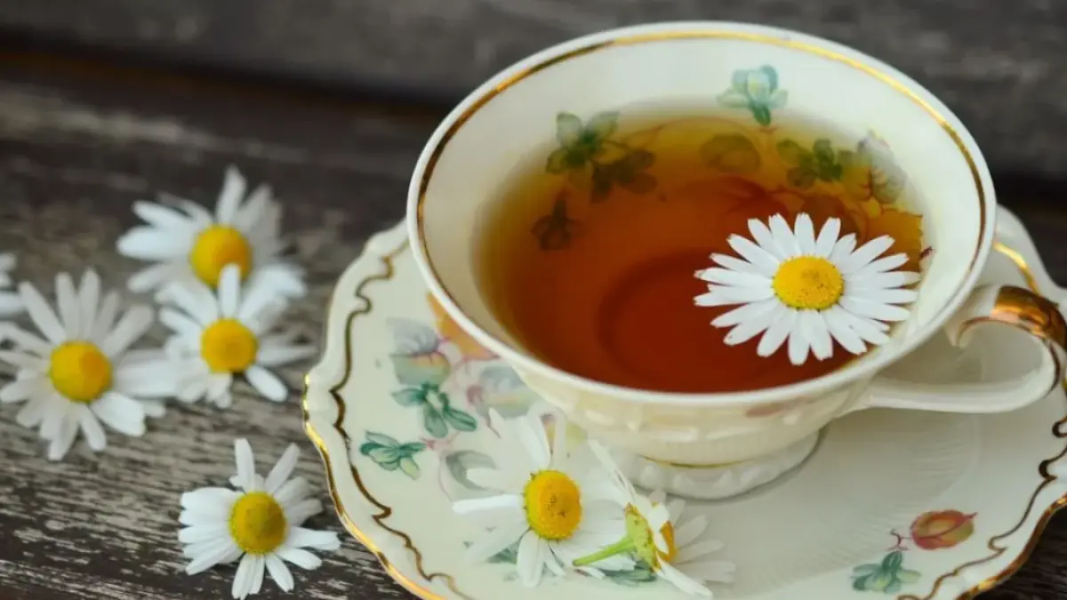 Waktu Minum Teh Chamomile yang Tepat untuk Tidur Nyenyak
