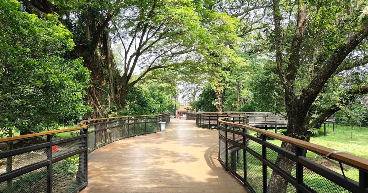 7 Rute Jogging Pagi Solo dan 6 Spot Lari Asri di Semarang