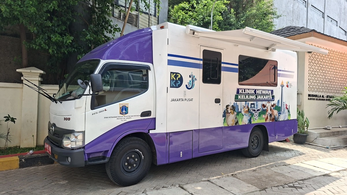 Puskeswan dan Klinik Keliling: Kunci Kontrol Populasi Hewan Liar