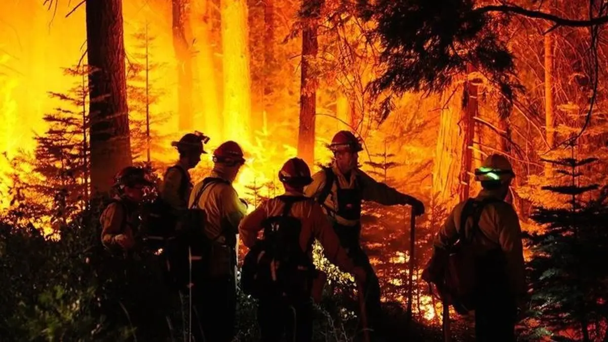 Asap Kebakaran Hutan Lintas Negara dan Krisis Kesehatan