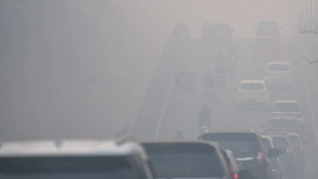 Kabut Asap Menutup Langit Bisnis Palembang