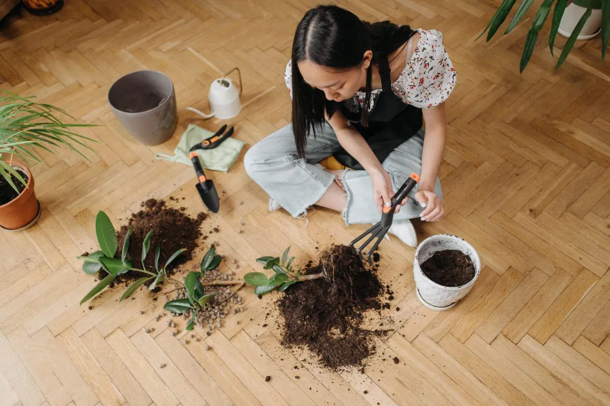 Berkebun dan Slow Living: Cara Lembut Mengusir Stres