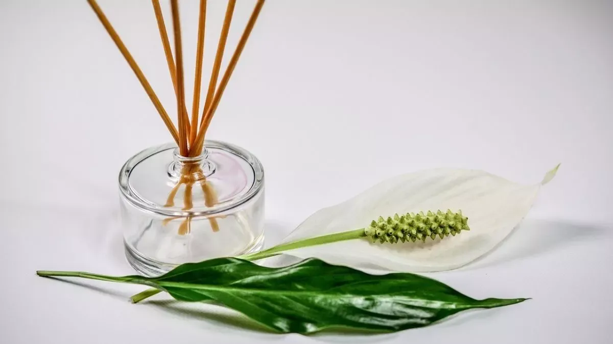 Wewangian Rumah untuk Relaksasi: Panduan Memilih Reed Diffuser dan Lilin Aromaterapi