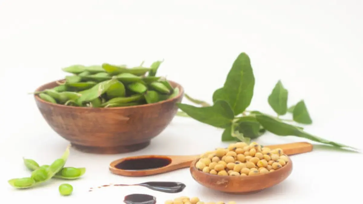 Edamame vs Kedelai vs Tahu vs Tempe: Mana Sumber Protein Terbaik?