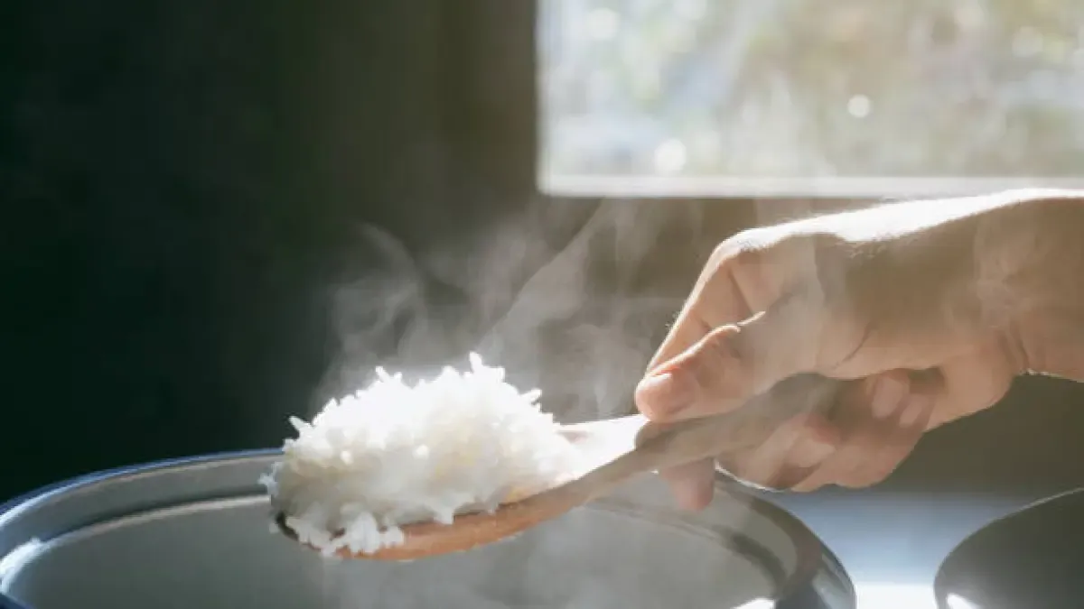 Nasi Panas vs Nasi Dingin untuk Kontrol Gula Darah