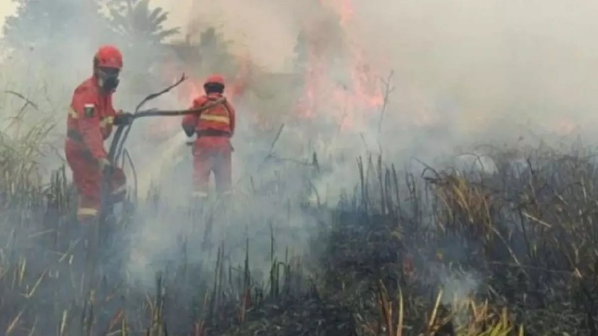 Asap Kebakaran Hutan Picu Krisis Diplomatik Regional