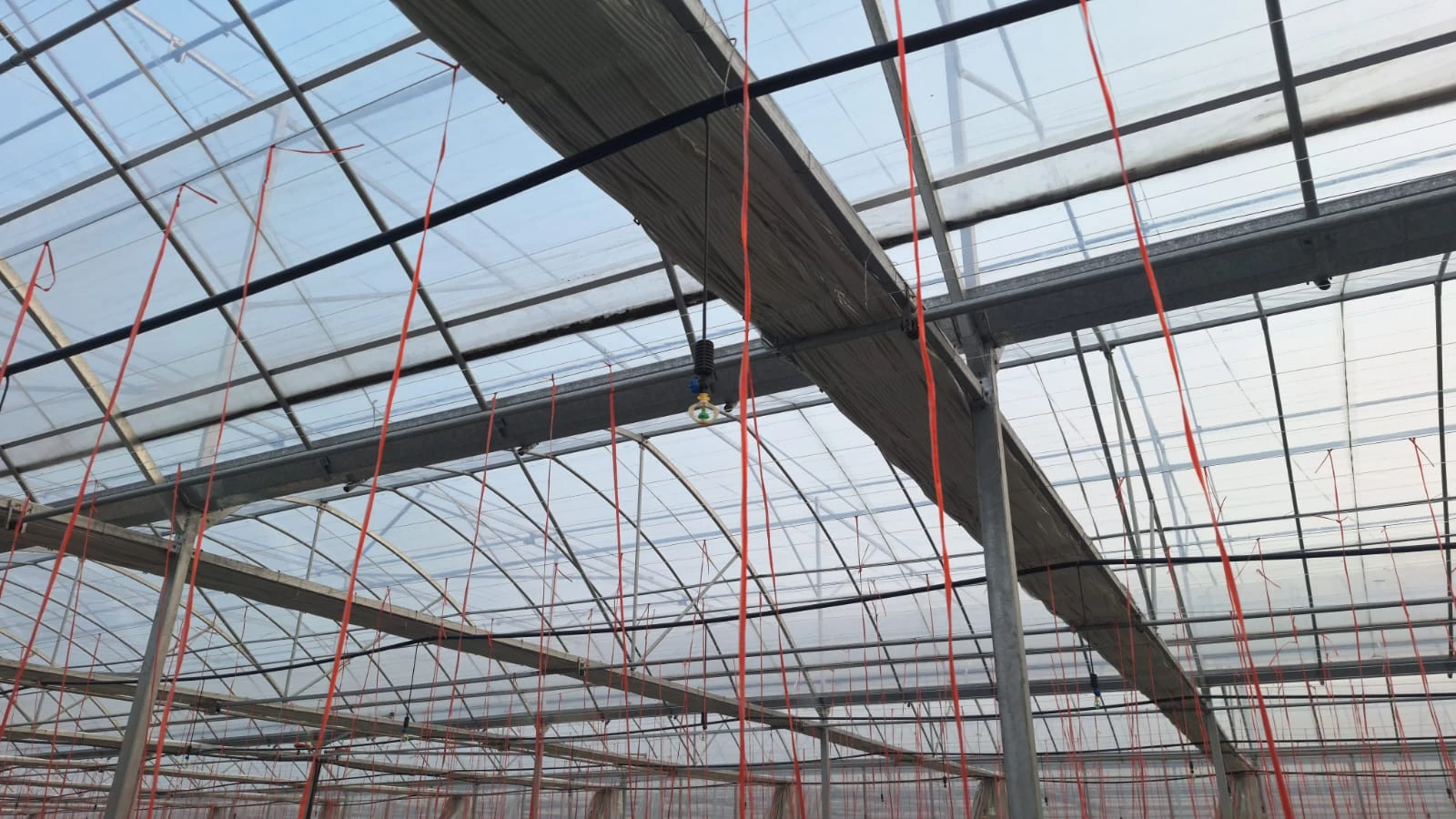 Sistem Irigasi Otomatis Berbasis Sensor untuk Smart Farming Terjangkau