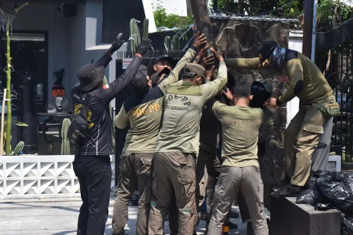 Surabaya Tertibkan Jaringan Utilitas: Kabel Ilegal Dibongkar, Wajah Kota Dirapikan