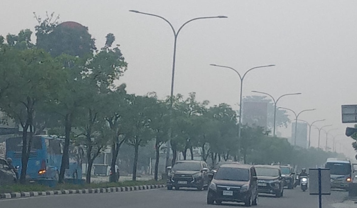 17.108 Titik Panas Membara: Peta Karhutla dan Kota Paling Tercekik Asap