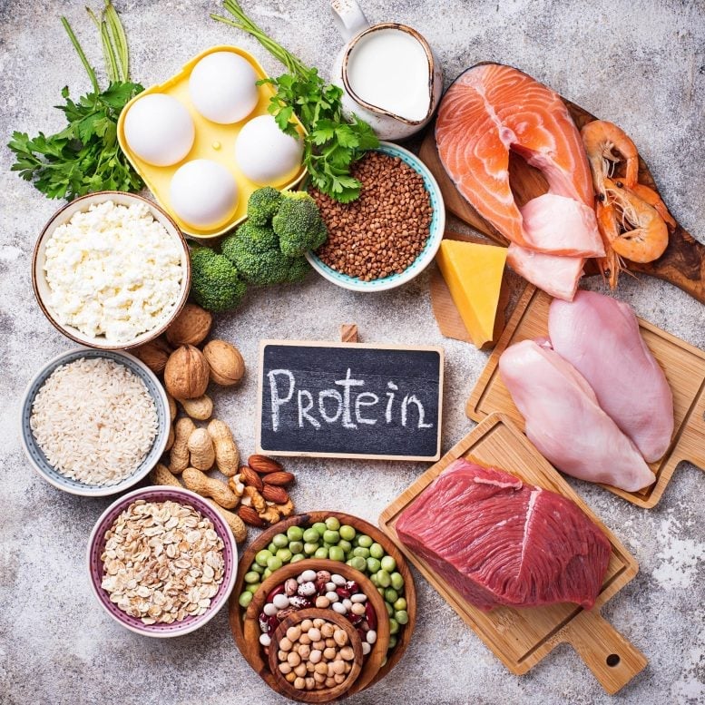 Berapa Banyak Protein yang Aman Dikonsumsi Setiap Hari?