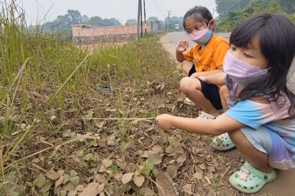 Panduan Melindungi Anak dari Asap Kebakaran Hutan