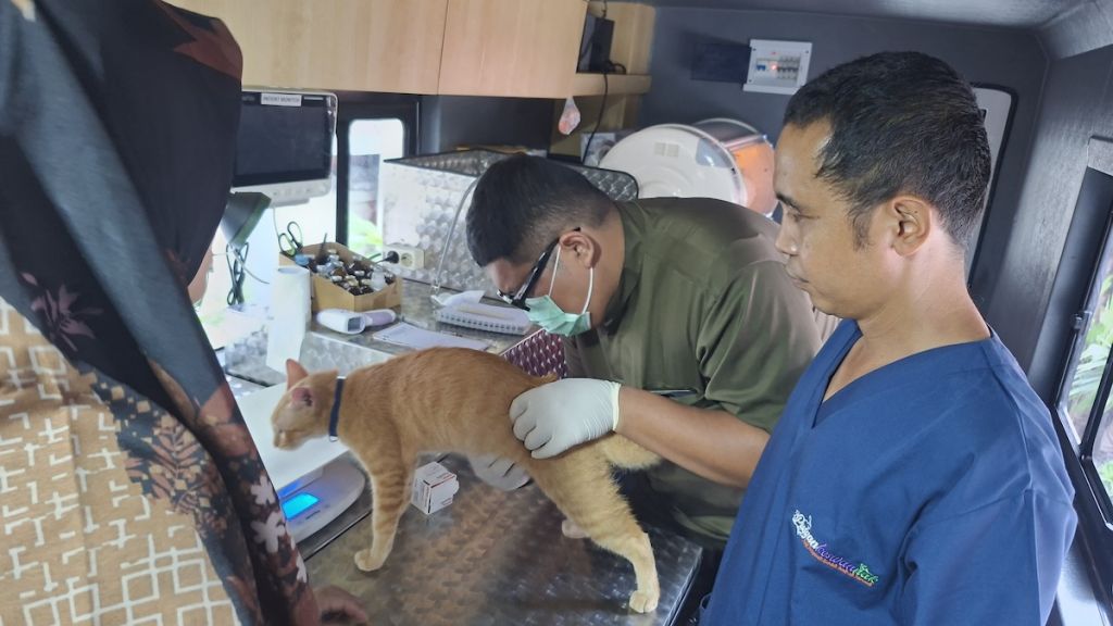 Panduan Lengkap Mobil Klinik Hewan Keliling di Jakarta