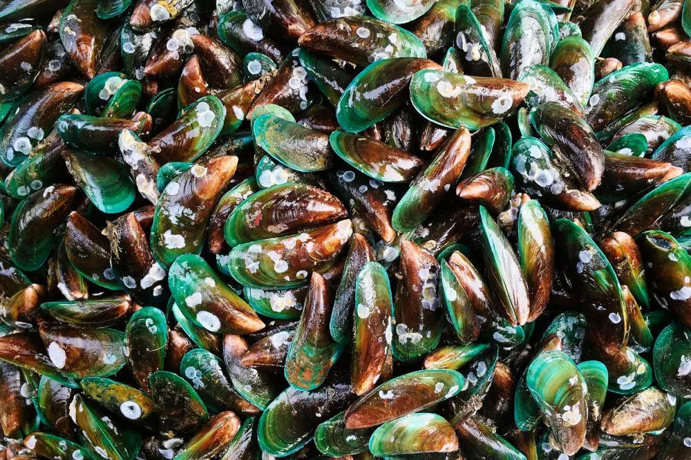 Panduan Lengkap Menyimpan 7 Bahan Dapur Agar Tetap Segar