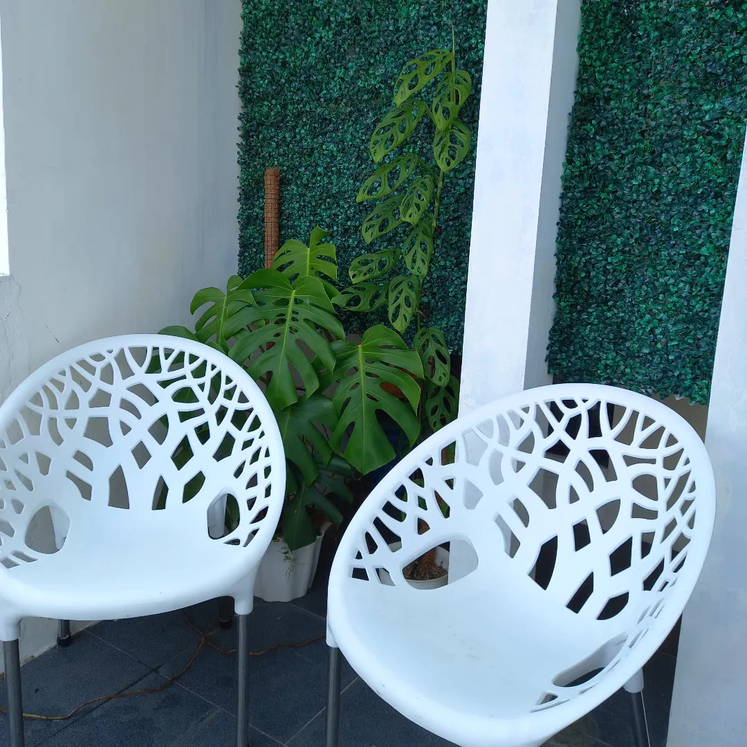 Dua kursi teras plastik putih motif anyaman daun berdampingan dengan tanaman monstera dan dinding taman vertikal