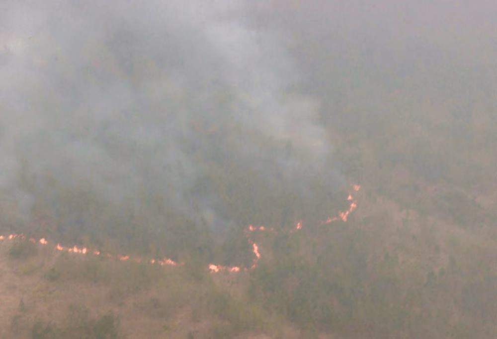 Kebakaran Hutan Mengancam Jalur Trail: Saatnya Pelari Gunung Serius Soal Safety