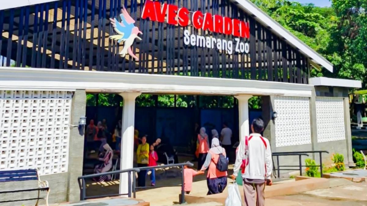 Tiket Zoo dan Safari Mulai Rp 15 Ribu: Worth It?