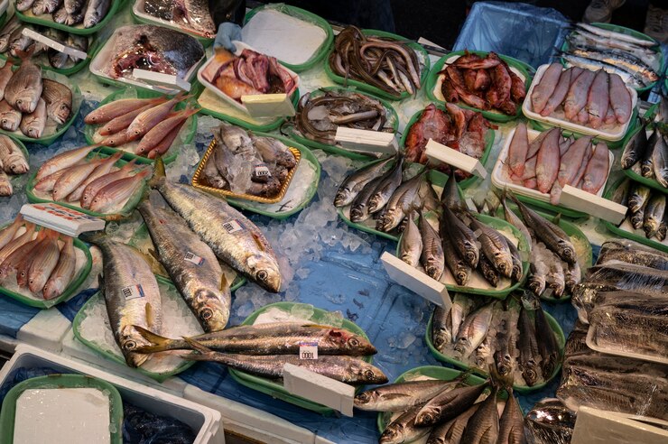 Dari Ikan Segar ke Produk Bernilai Tinggi untuk UMKM