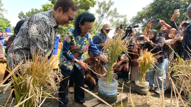 14,8 Juta Petani Perempuan Hadapi Krisis Modal