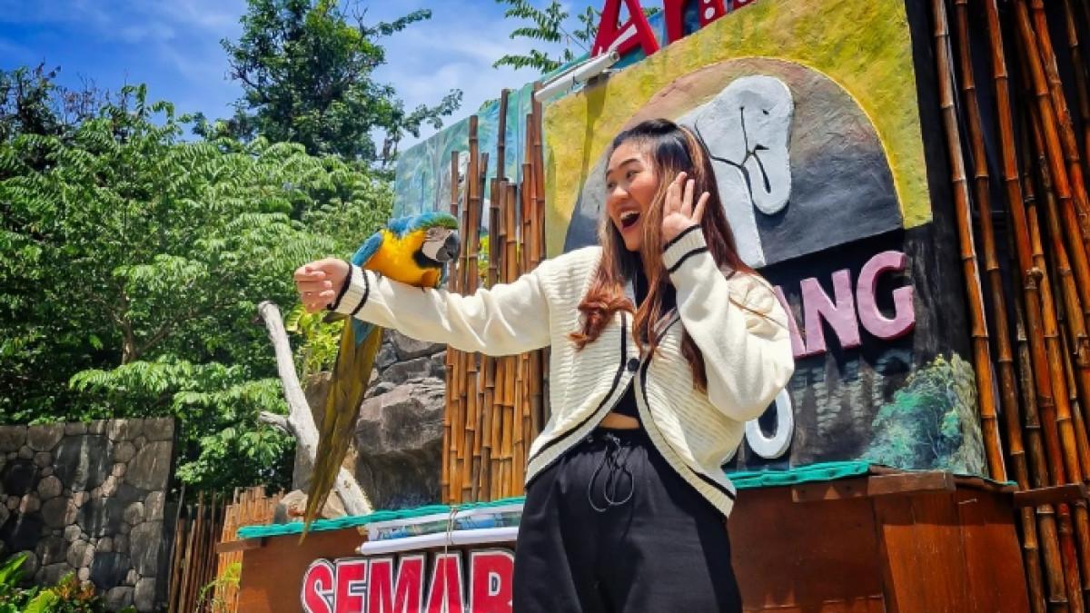 Tiket Zoo dan Safari Mulai Rp 15 Ribu: Worth It?