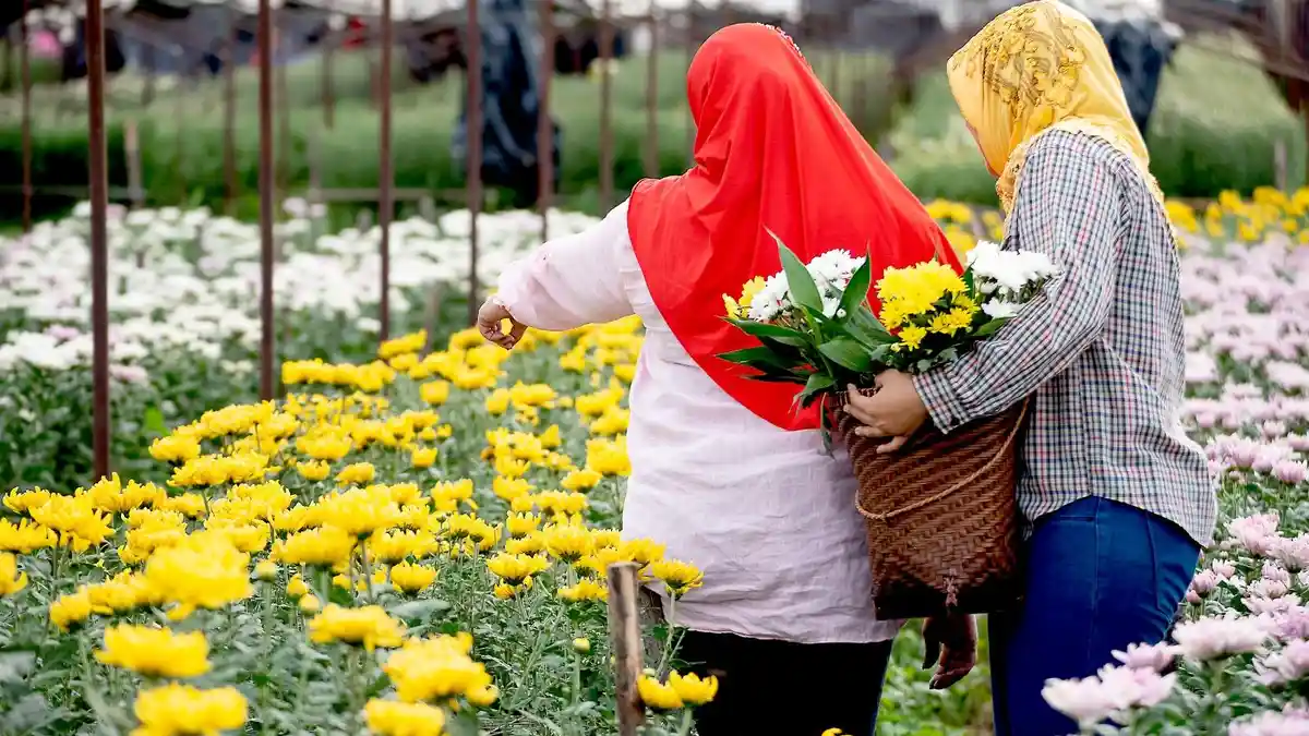 Jelajahi Malang dengan Budget Terbatas: Panduan Lengkap Destinasi Alam dan Kuliner Terjangkau