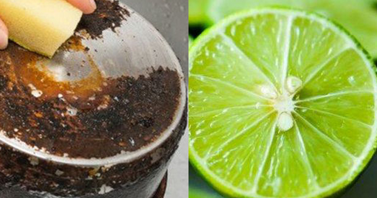 Panduan Lengkap Membersihkan dan Merawat Peralatan Dapur