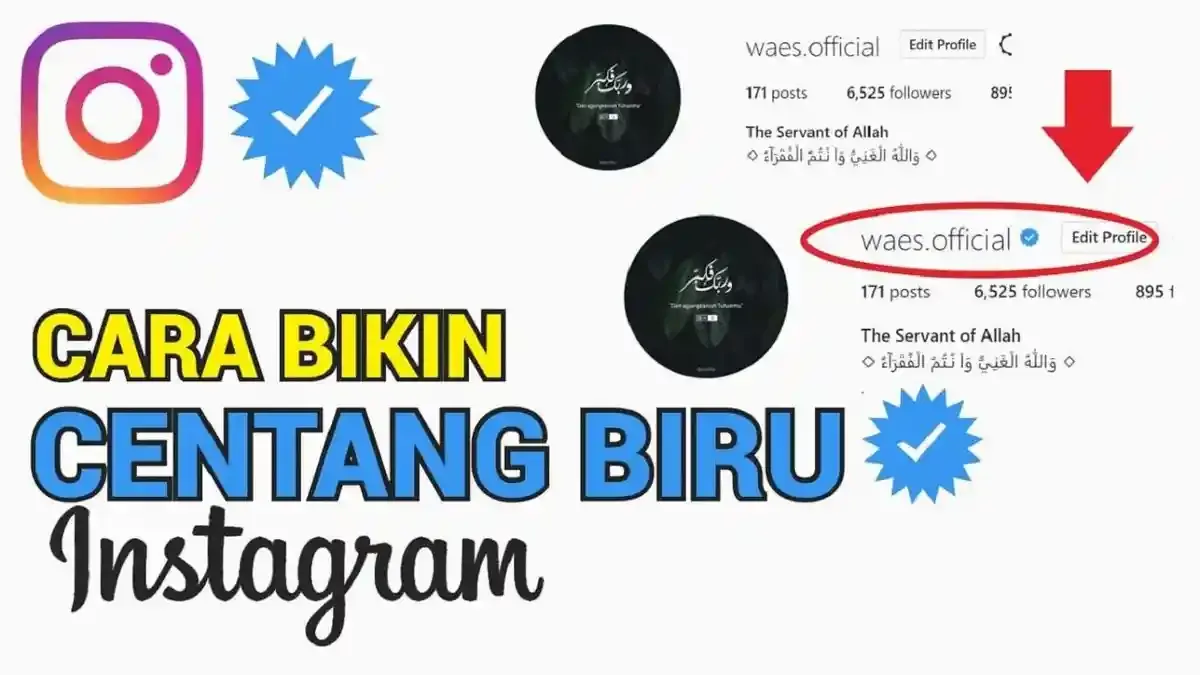 Akun Instagram Diretas? Pulihkan Email Sebelum Verifikasi Identitas