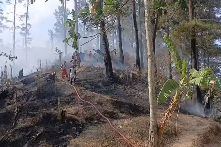 Kebakaran Gunung Lawu Meluas: Wisata Pendakian Lumpuh dan Tanggap Darurat Ditetapkan