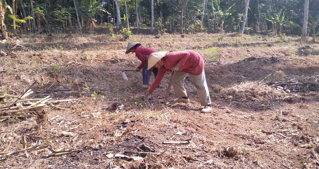 TMMD Manunggal Membangun Desa: Jalan Sembung yang Mengubah Hidup