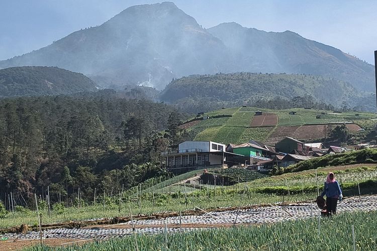 Kebakaran Gunung Lawu Meluas: Wisata Pendakian Lumpuh dan Tanggap Darurat Ditetapkan