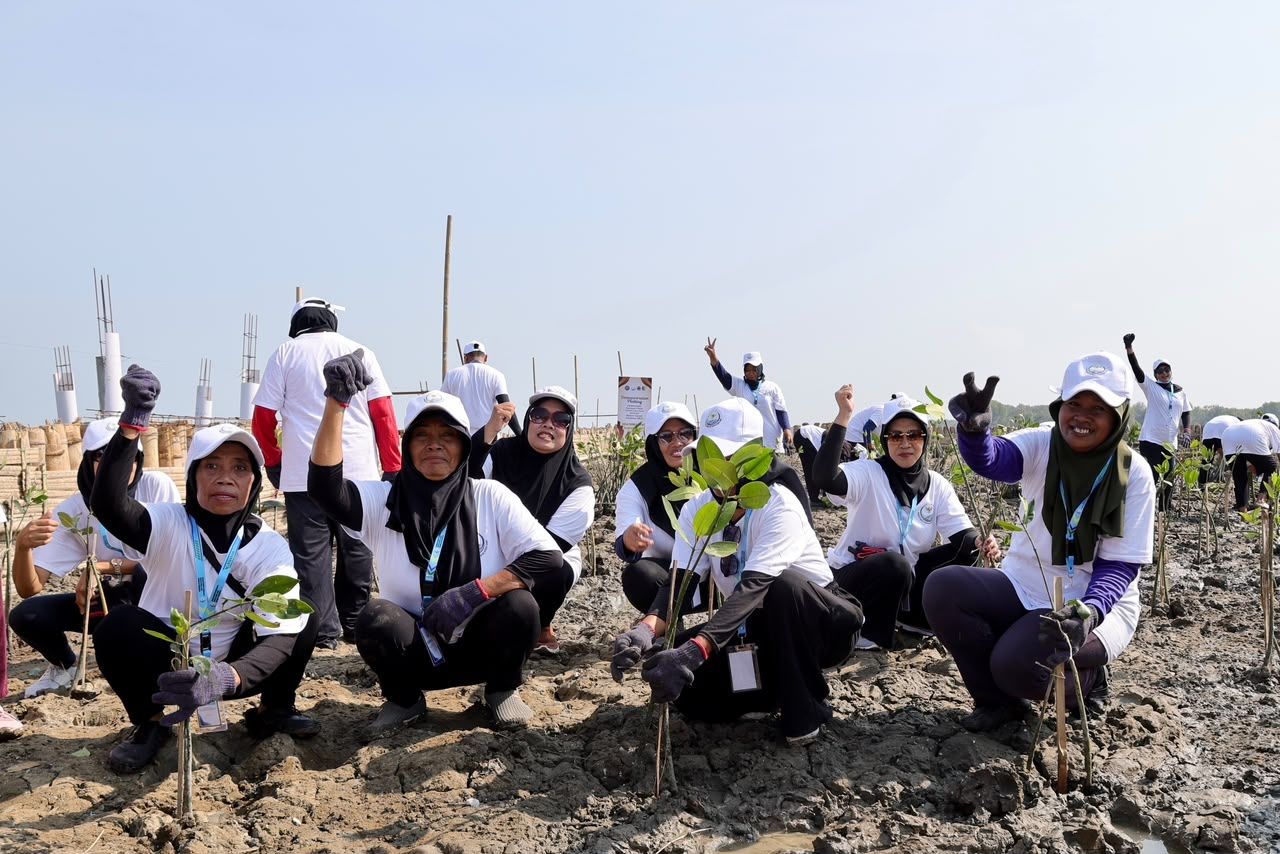Penanaman 200 Hektar Mangrove di Demak: Taruhan Besar Menahan Laju Laut Pantura