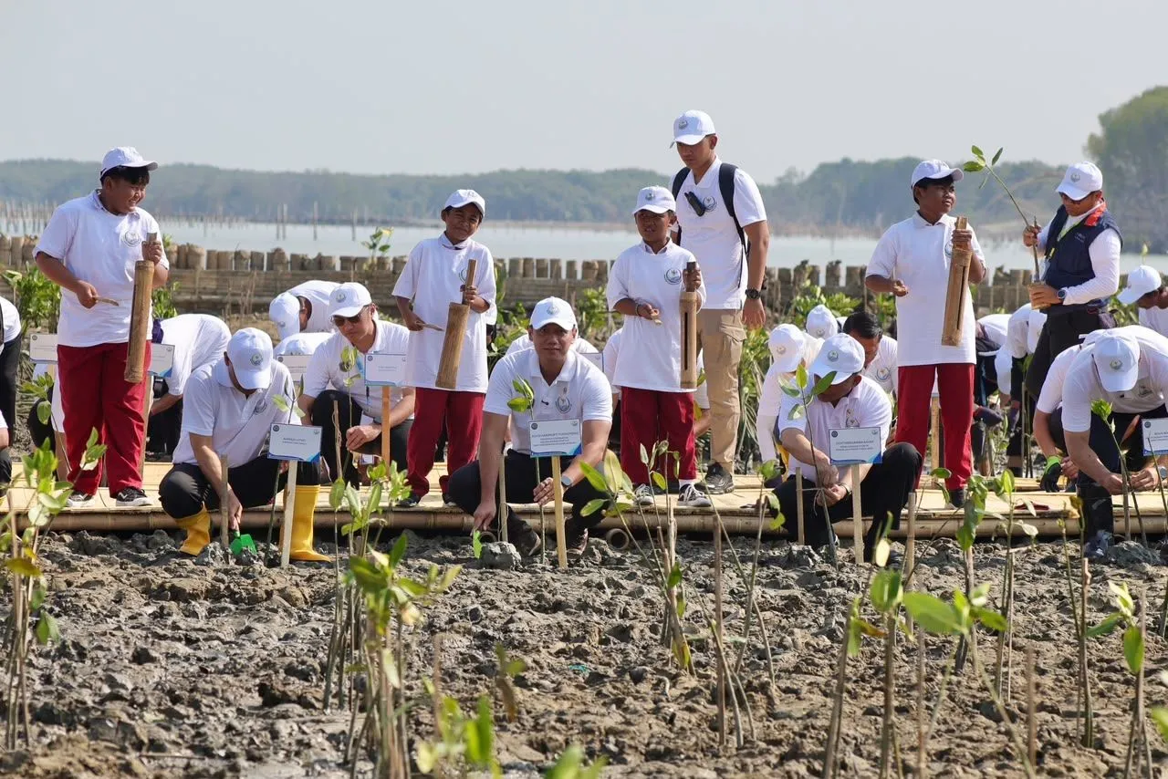 Penanaman 200 Hektar Mangrove di Demak: Taruhan Besar Menahan Laju Laut Pantura