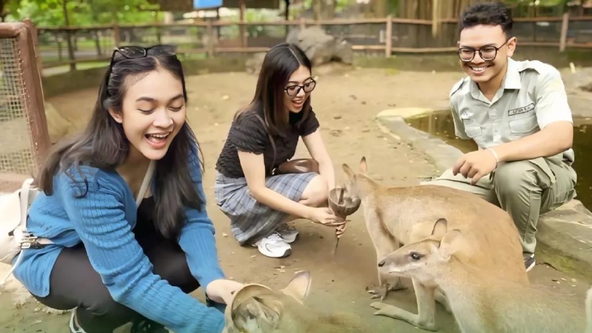 Tiket Zoo dan Safari Mulai Rp 15 Ribu: Worth It?