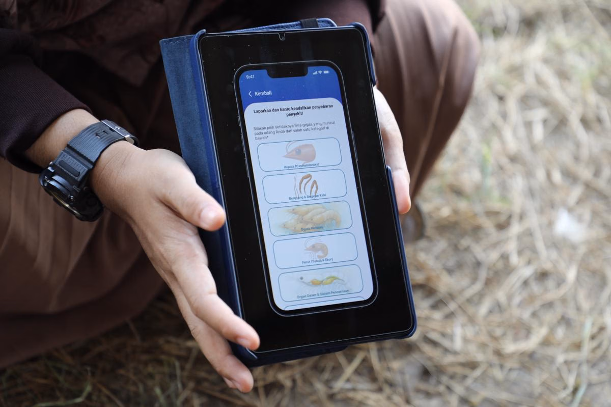 SMARTAMBAK: Deteksi Dini Penyakit Udang dengan AI