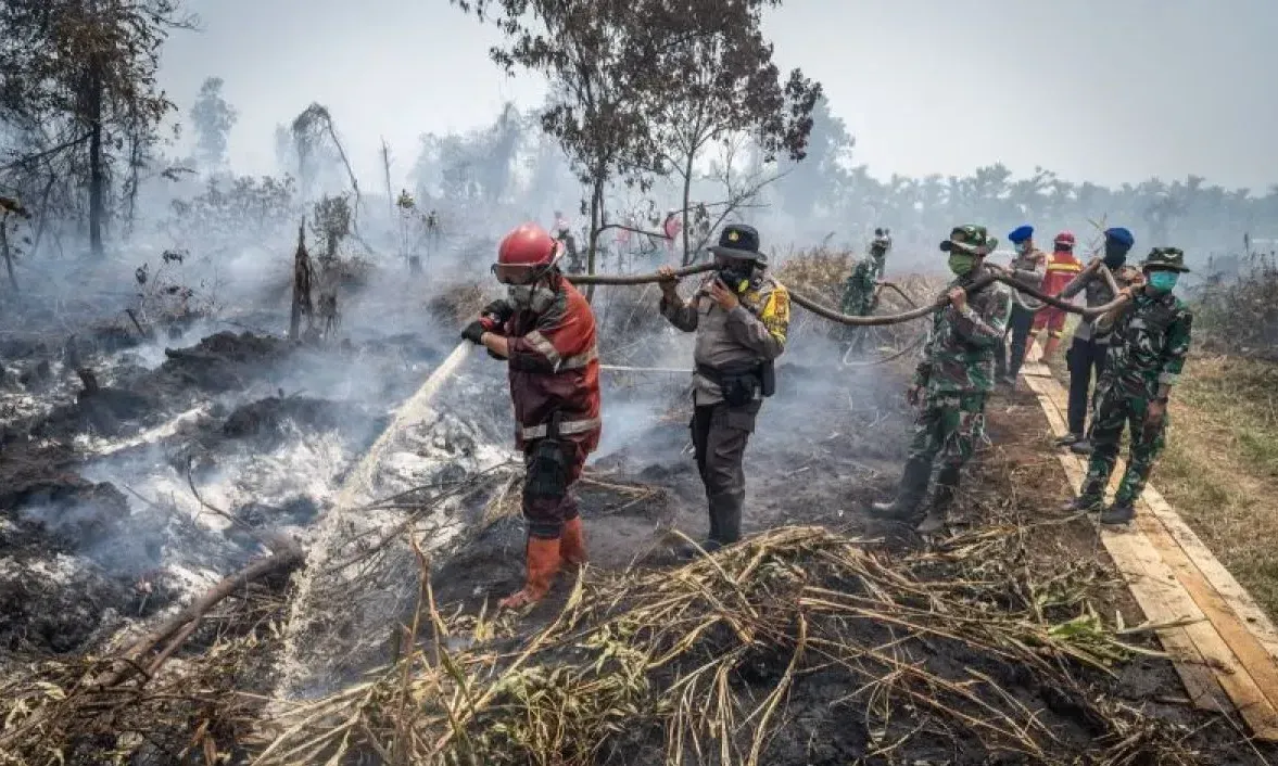 Strategi Pemadaman Karhutla: Jalur Darat dan Sumur Bor