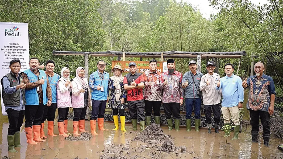 PLN Tanam 2.000 Mangrove dan Bangun Ekowisata di Bengkalis