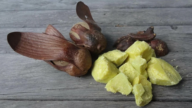 Dari Kemiri hingga Jelantah: Bahan Dapur Lokal yang Jadi Mesin Uang UMKM