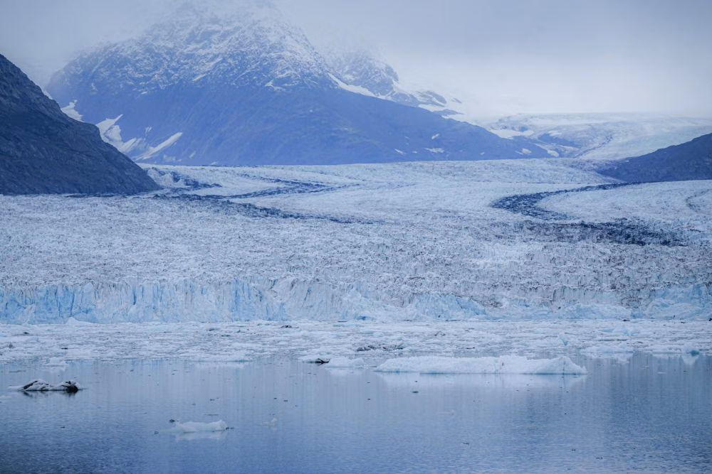 Berlari di Benua Es: Panduan Lengkap Antarctic Ice Marathon
