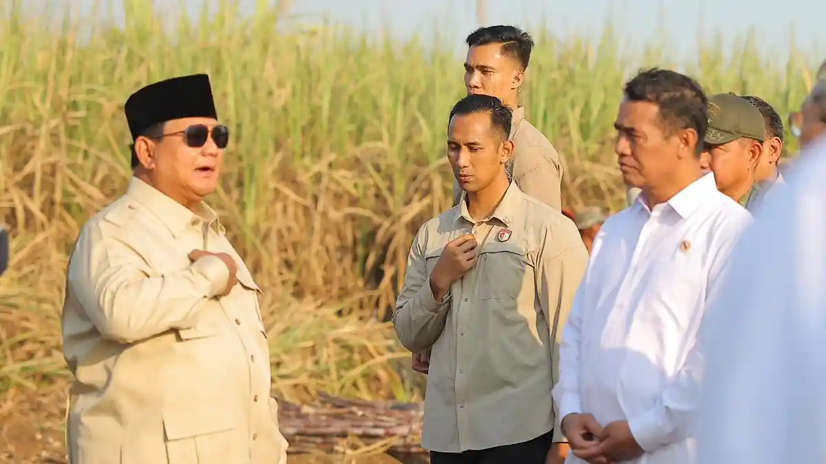 Swasembada Pangan dan Rekor Stok Beras: Perisai Baru Ketahanan Nasional
