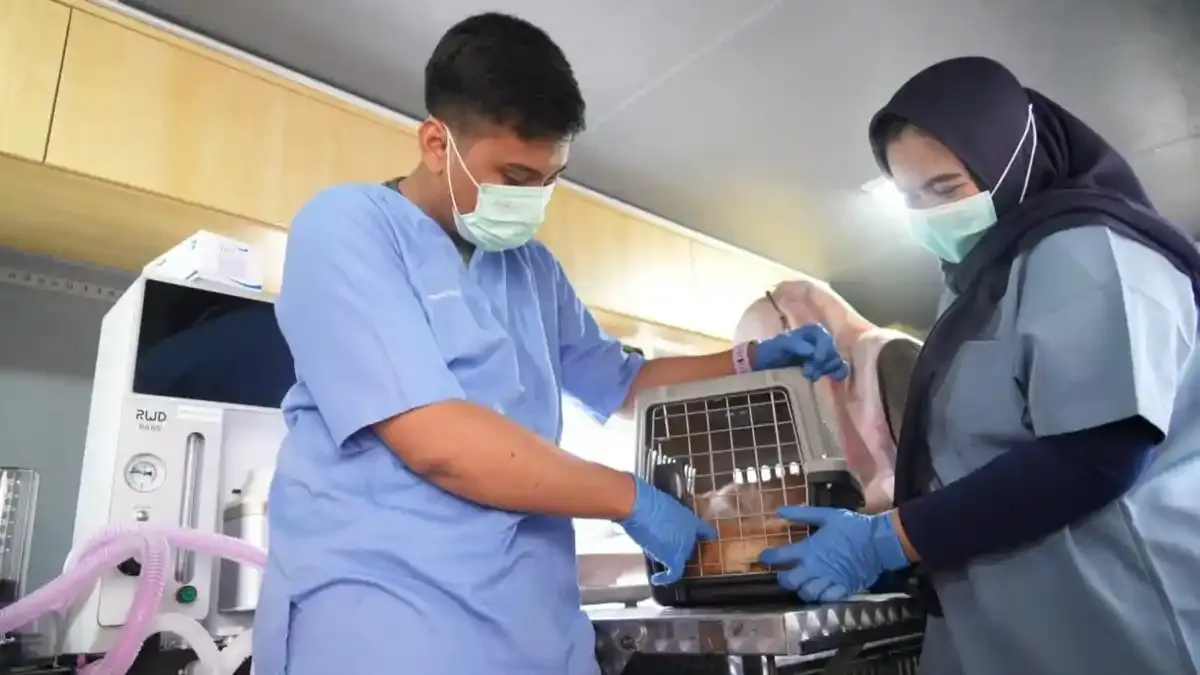 Mobil Klinik Hewan Keliling Mengubah Akses Kesehatan Peliharaan