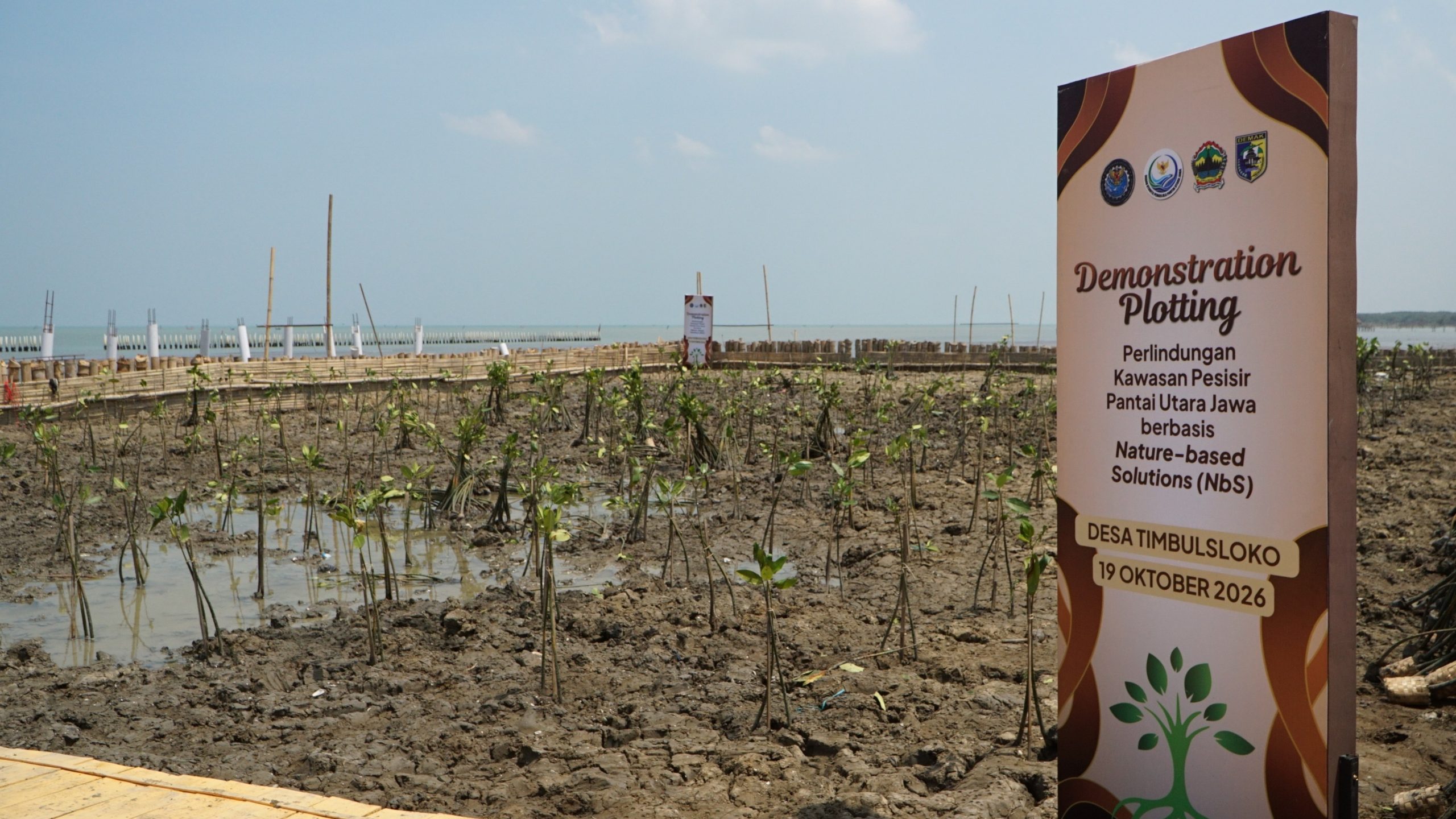 40.000 Mangrove di Demak: Saat Bank dan Laut Satu Pihak
