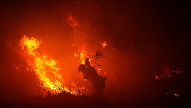 Kabut Asap Lintas Batas: Ujian Berat bagi Diplomasi ASEAN