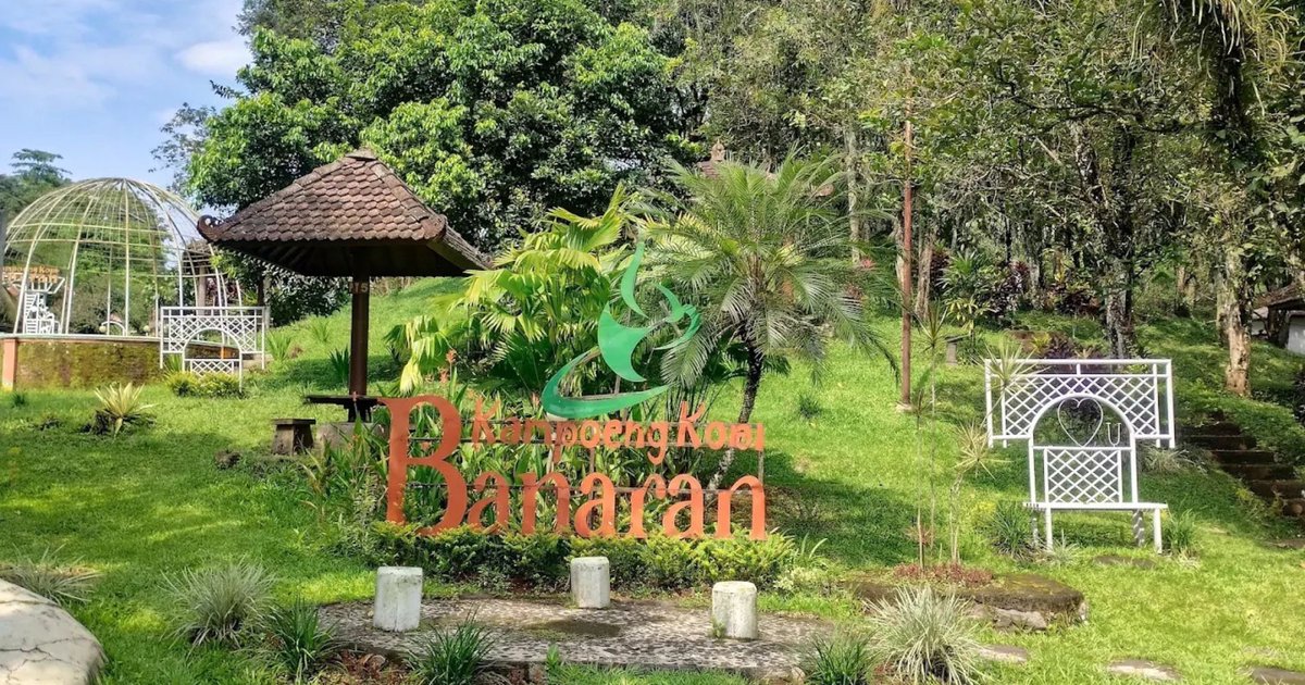 Banaran Trail Run: Panduan Rute Kebun Kopi dan Logistik Peserta