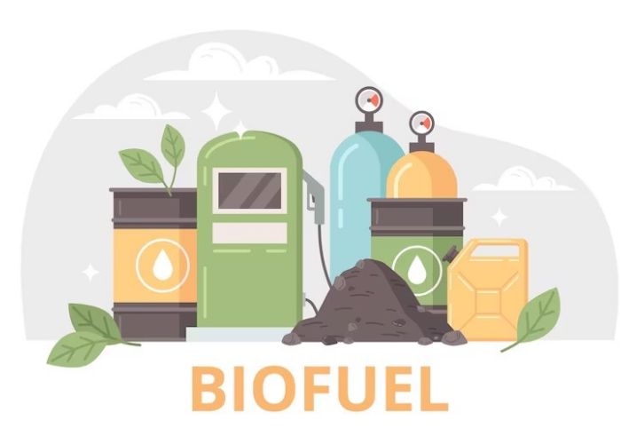 Bioetanol E10, E20, E50: Apa Bedanya dan Siapa yang Sebaiknya Pakai