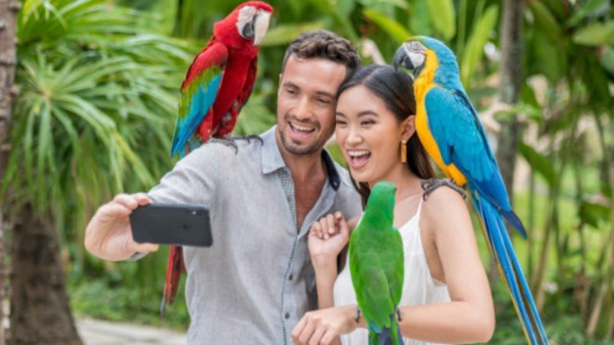 Empat Taman Hiburan dengan Tiket Promo Termurah: Panduan Lengkap Harga dan Cara Pesan