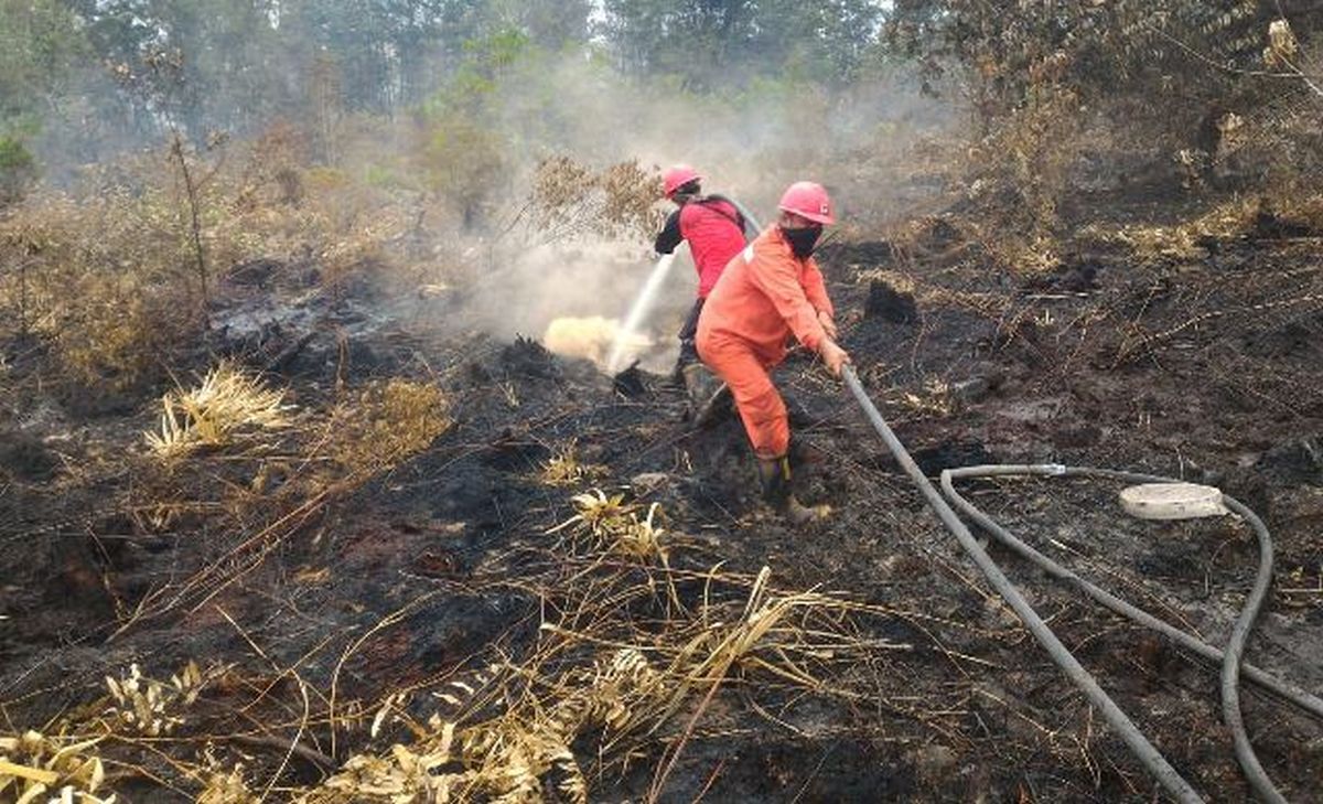 Polda Sumsel Kepung Korporasi dalam Kasus Karhutla