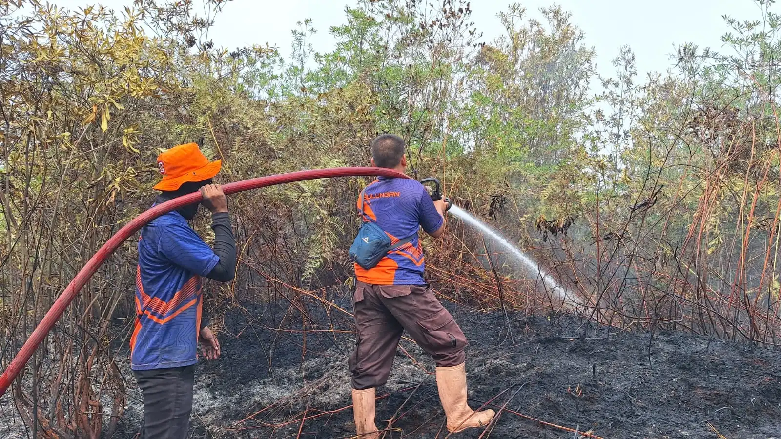 Dari Kritik ke Aksi: Menata Ulang Kerja Sama Asap Lintas Negara