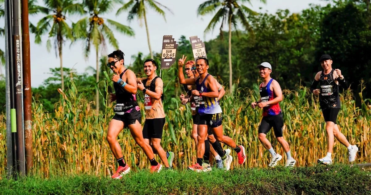 Panduan Logistik Lengkap Borobudur Marathon: Race Pack, Akomodasi, Shuttle, dan Rute