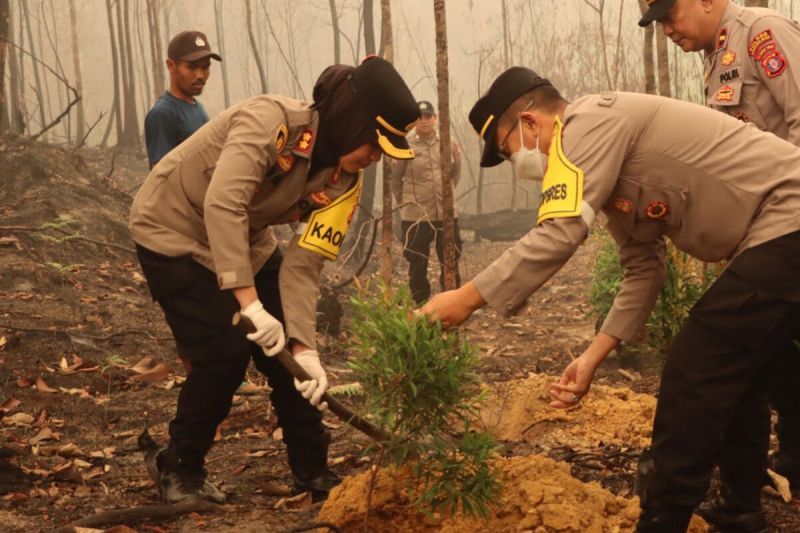 Penghijauan Pascakarhutla Harus Diikuti Perawatan dan Pencegahan