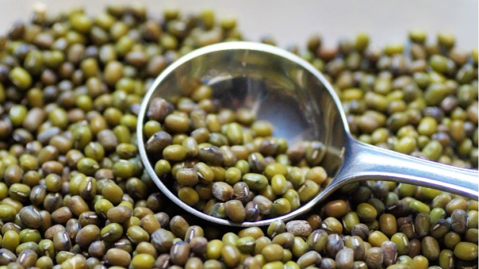 Jewawut, Kerokot, dan Kacang Hijau: Tanaman Lupa yang Jadi Peluang Emas UMKM