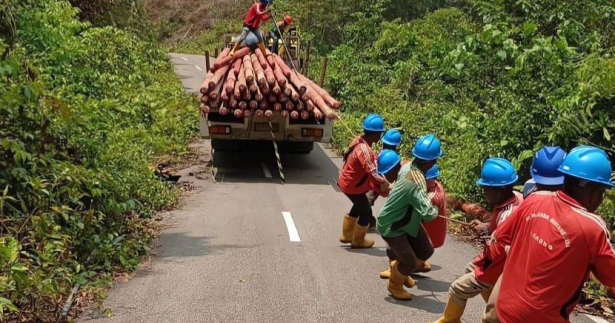 Ketika Listrik Menjangkau Pelosok, Ekonomi Ikut Bergerak